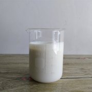 EVA������ģ��